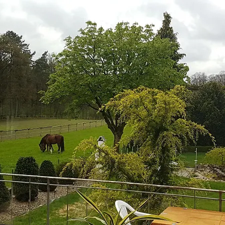 Gasthuis Luette Heidehotel Funk - Garni Bispingen
