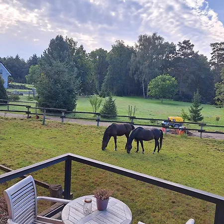 Luette Heidehotel Funk - Garni 3*