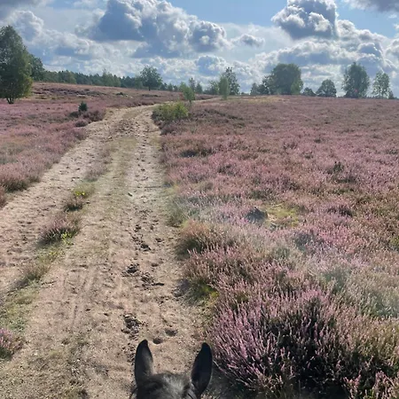 Luette Heidehotel Funk - Garni