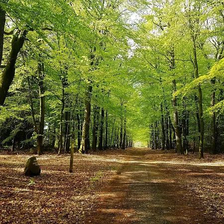 Luette Heidehotel Funk - Garni 3* Bispingen